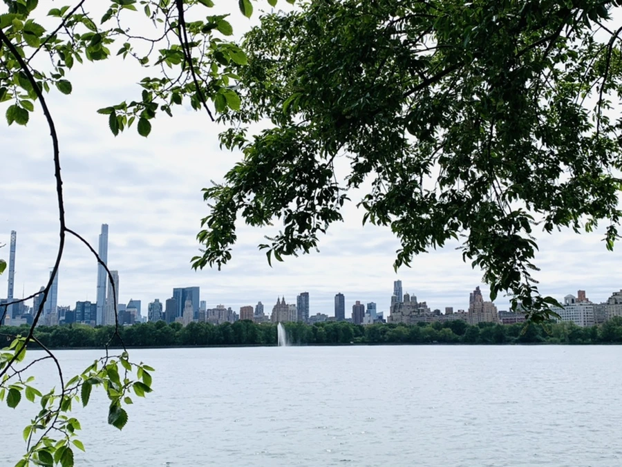 IMG_6408.jpg?type=w966