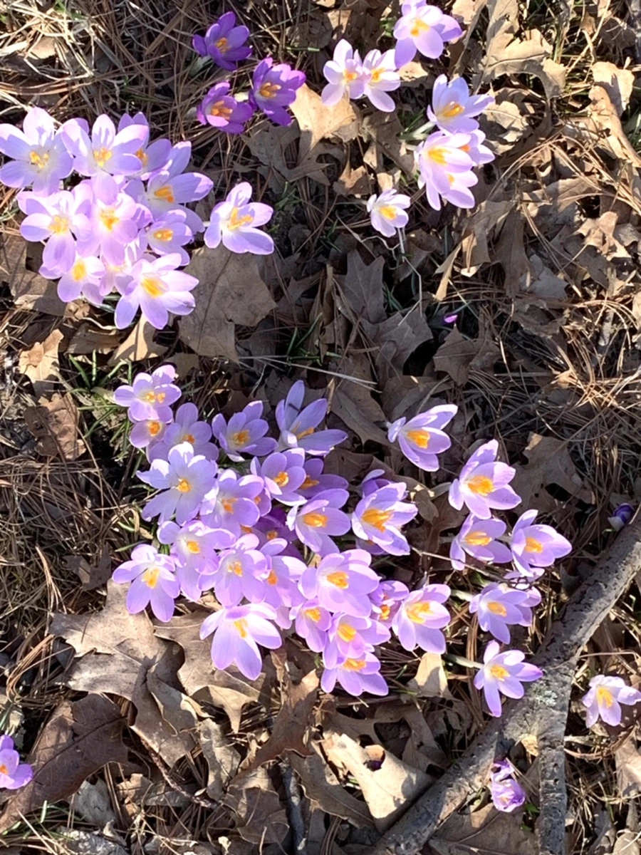 IMG_0404.jpg?type=w966