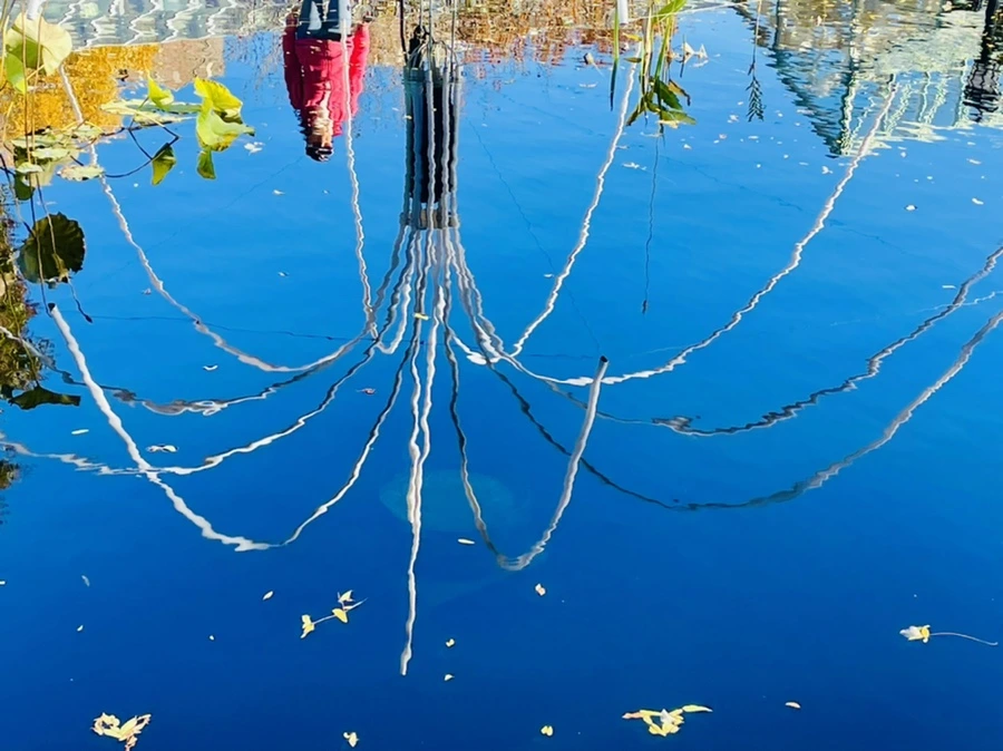 IMG_2051.jpg?type=w966