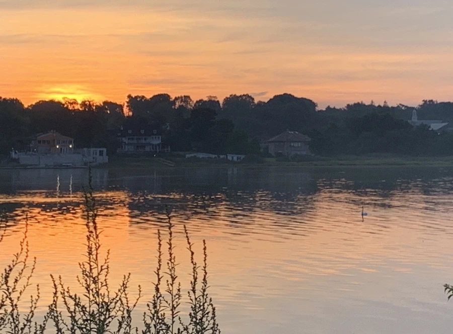 IMG_6806.jpg?type=w966