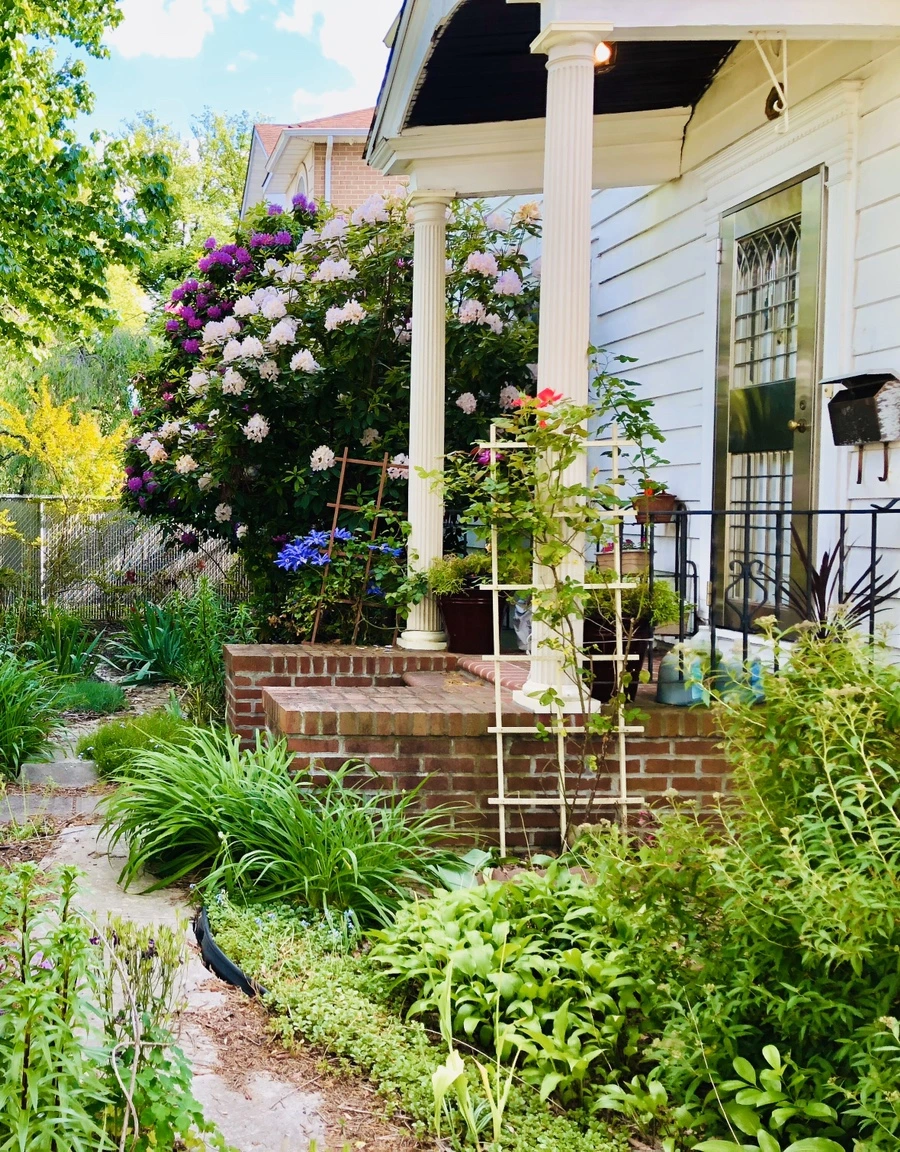 IMG_7630.jpg?type=w966