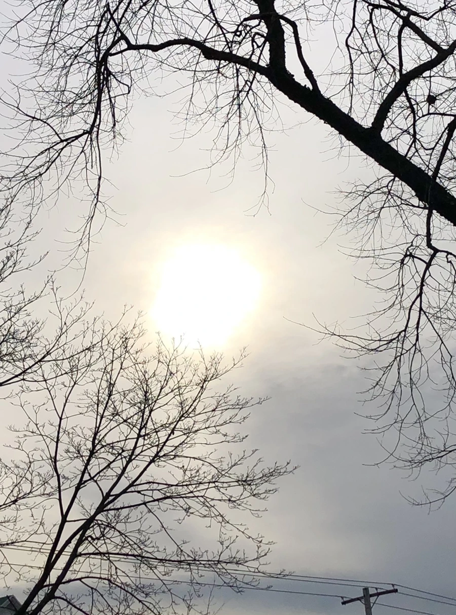 IMG_2188.jpg?type=w966