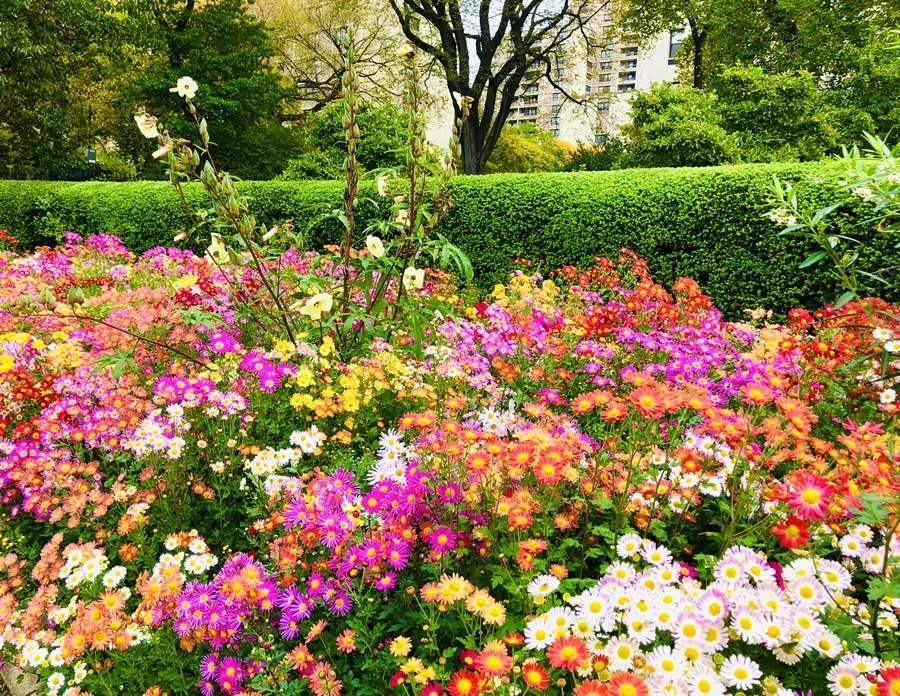 IMG_2498.jpg?type=w966