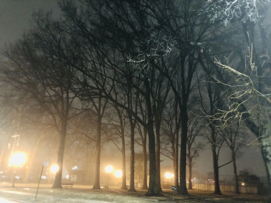 IMG_9323.jpg?type=w966