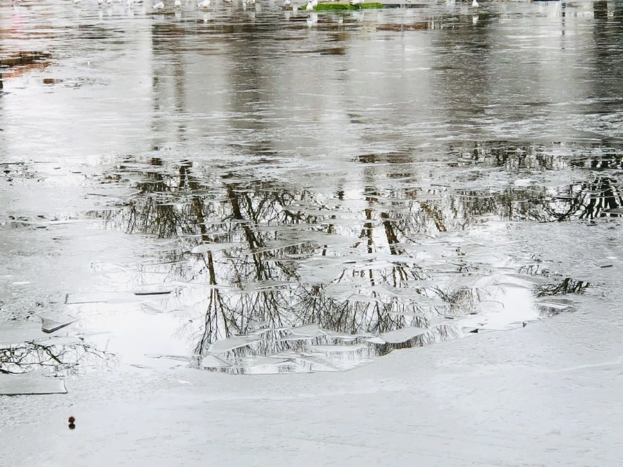 IMG_9054.jpg?type=w966