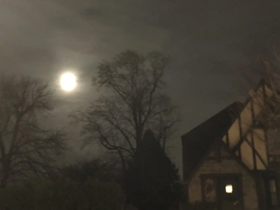 IMG_8576.jpg?type=w966