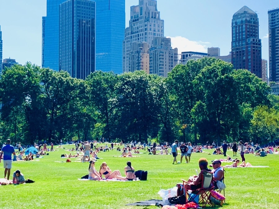 IMG_4399.jpg?type=w966