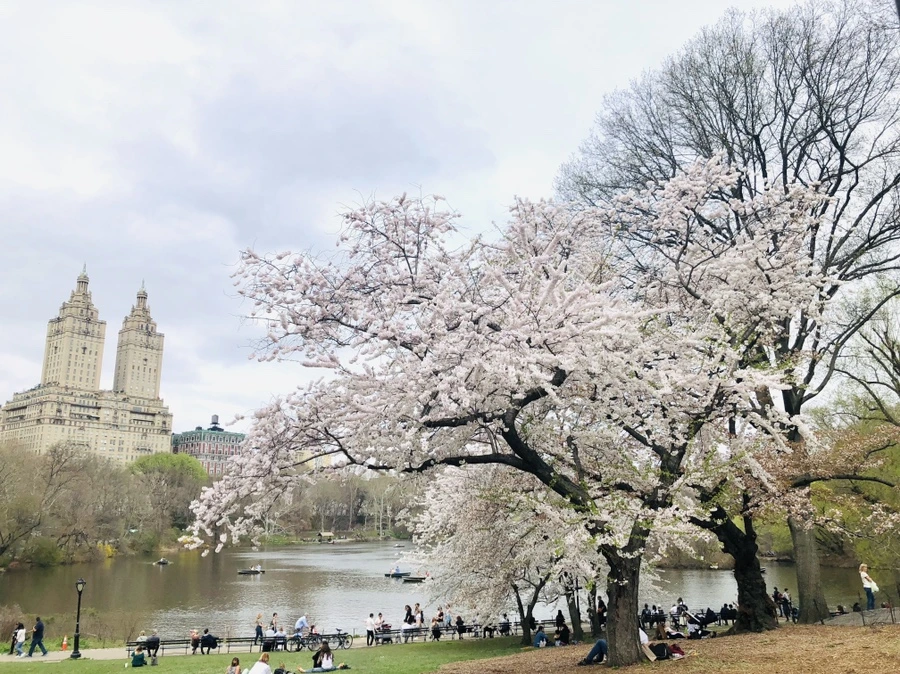 IMG_2949.jpg?type=w966