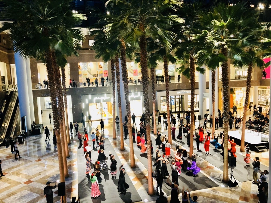 IMG_6162.jpg?type=w966