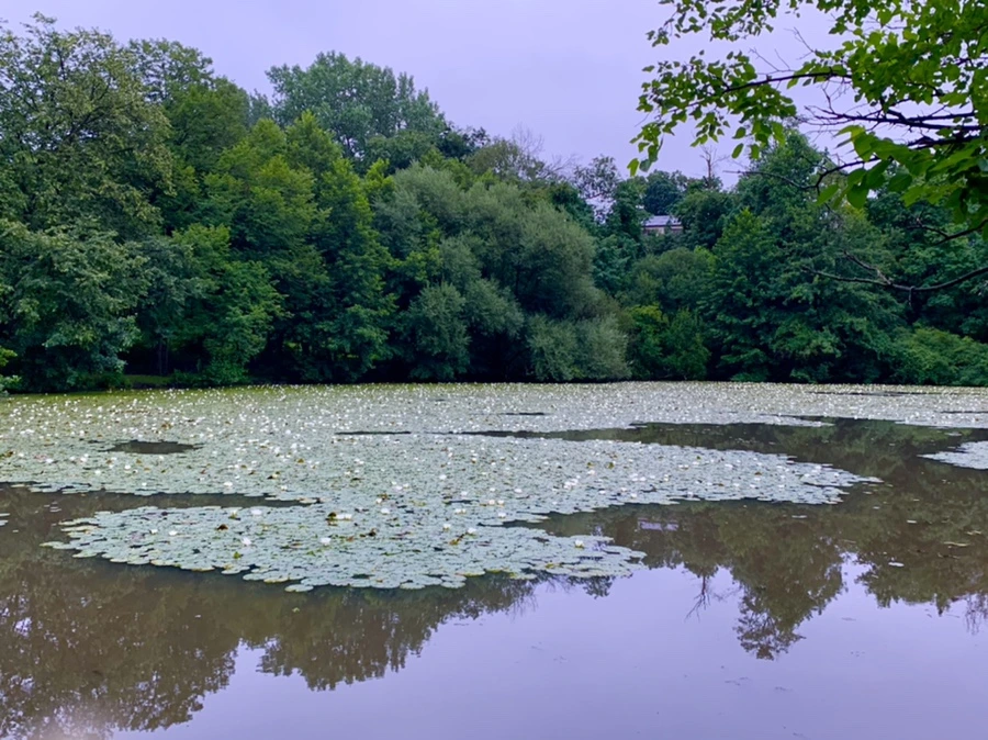 IMG_6924.jpg?type=w966