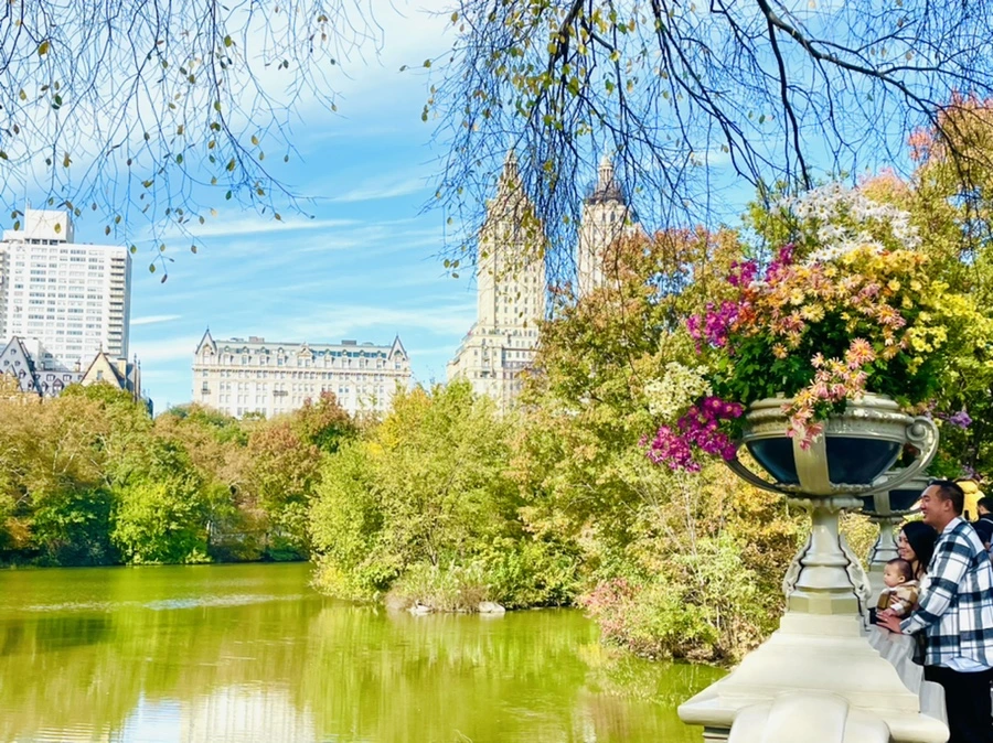 IMG_0259.jpg?type=w966