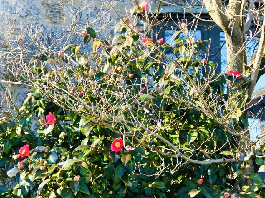 IMG_0327.jpg?type=w966