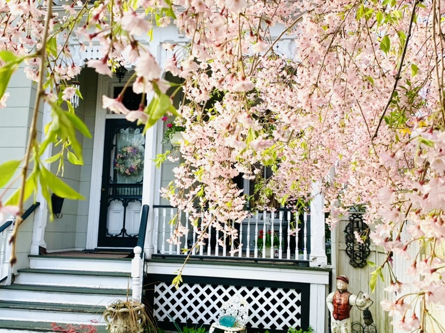 IMG_3741.jpg?type=w966