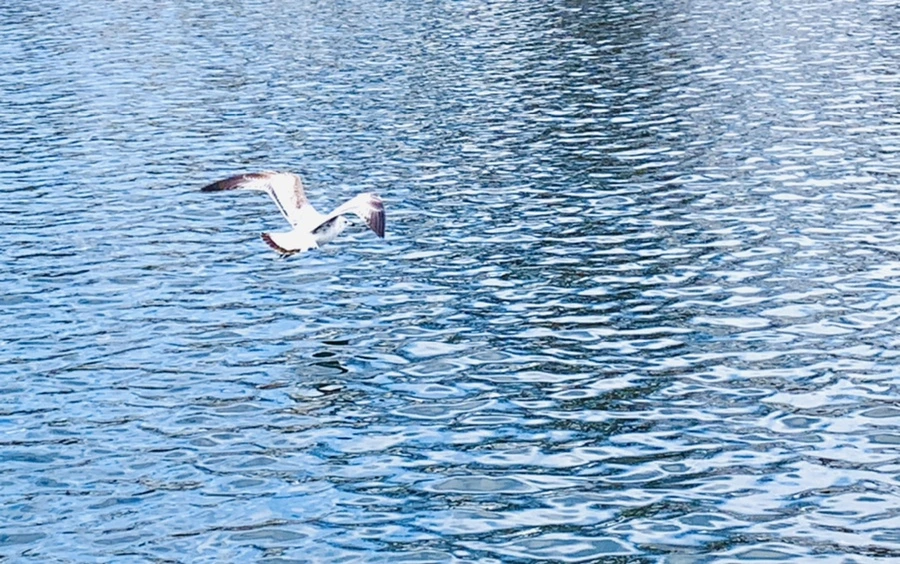 IMG_7728.jpg?type=w966