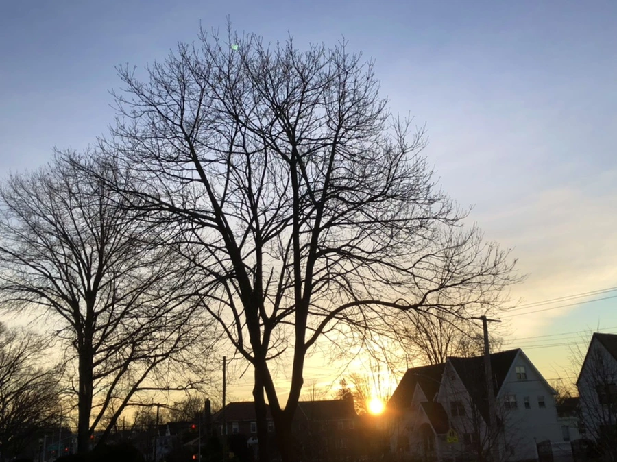 IMG_5627.jpg?type=w966