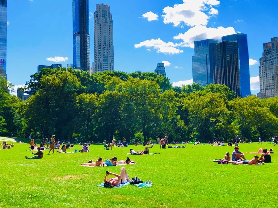 IMG_8866.jpg?type=w966