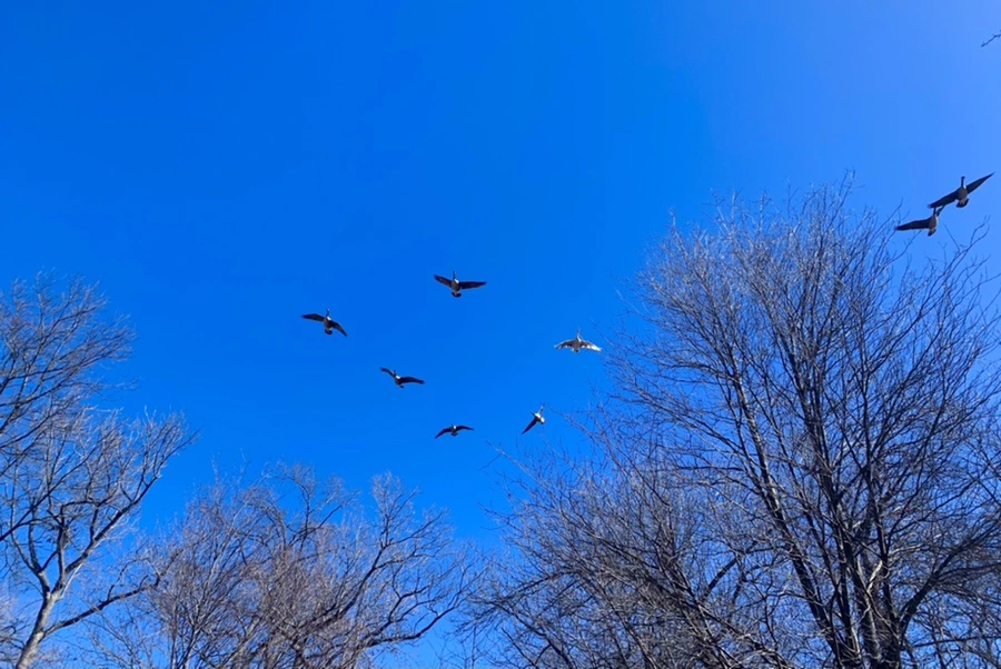 IMG_6749.jpg?type=w966