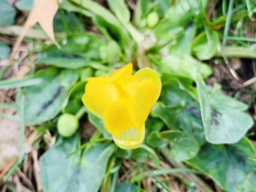 IMG_3445.jpg?type=w966