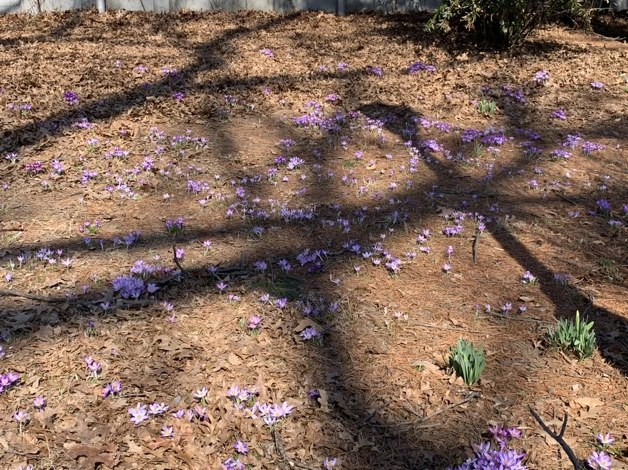 IMG_9726.jpg?type=w966