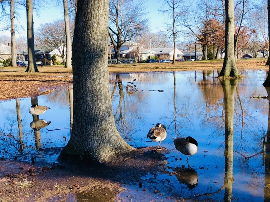 IMG_9789.jpg?type=w966