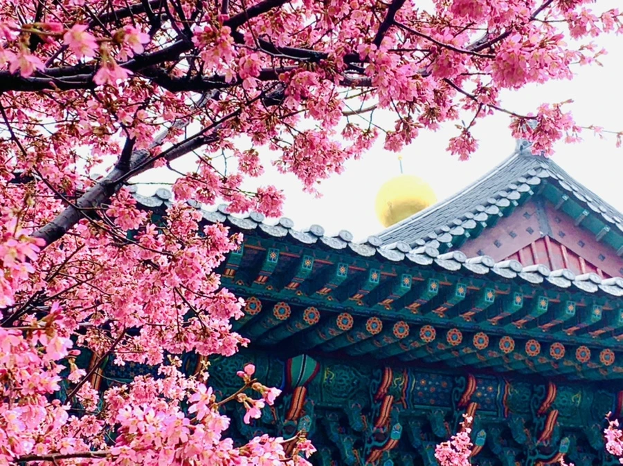 IMG_5296.jpg?type=w966