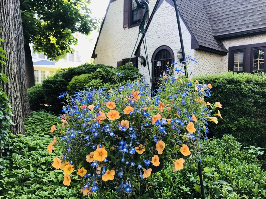 IMG_9096.jpg?type=w966