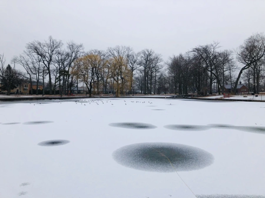 IMG_6123.jpg?type=w966