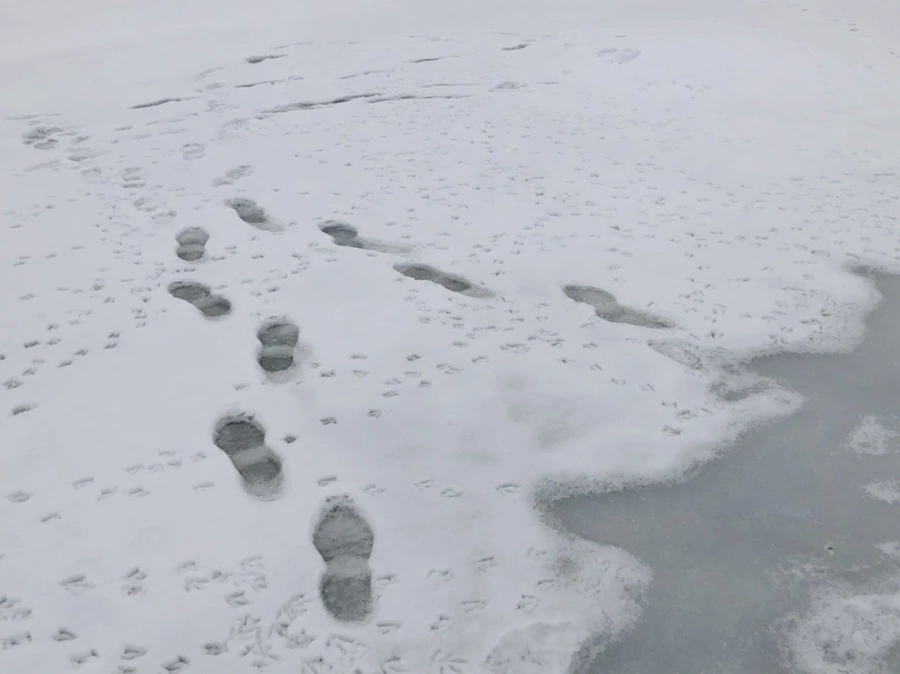 IMG_2564.jpg?type=w966