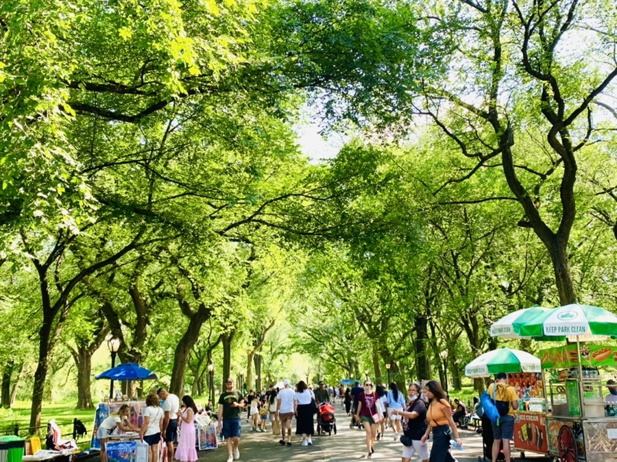 IMG_4510.jpg?type=w966