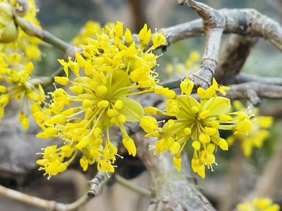 IMG_5402.jpg?type=w966