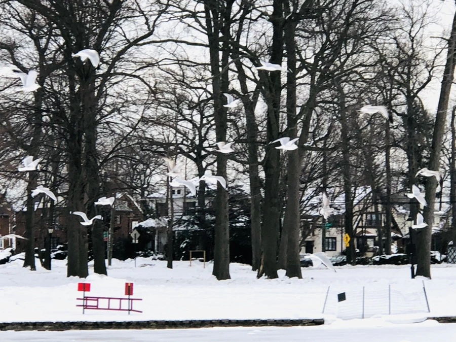 IMG_2073.jpg?type=w966