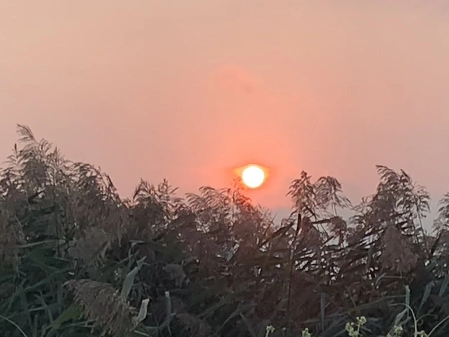 IMG_1134.jpg?type=w966