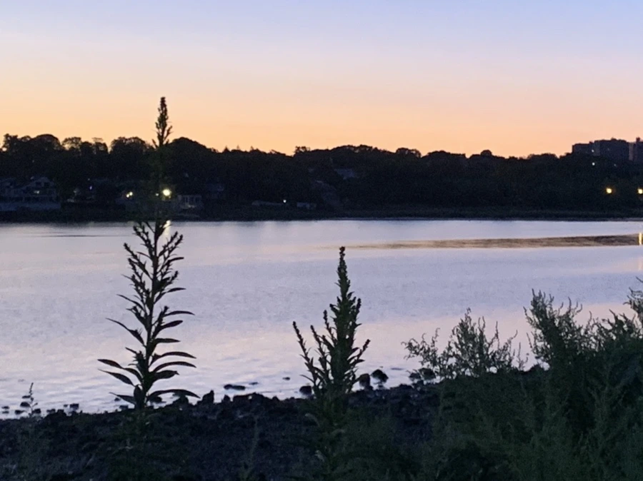 IMG_7405.jpg?type=w966