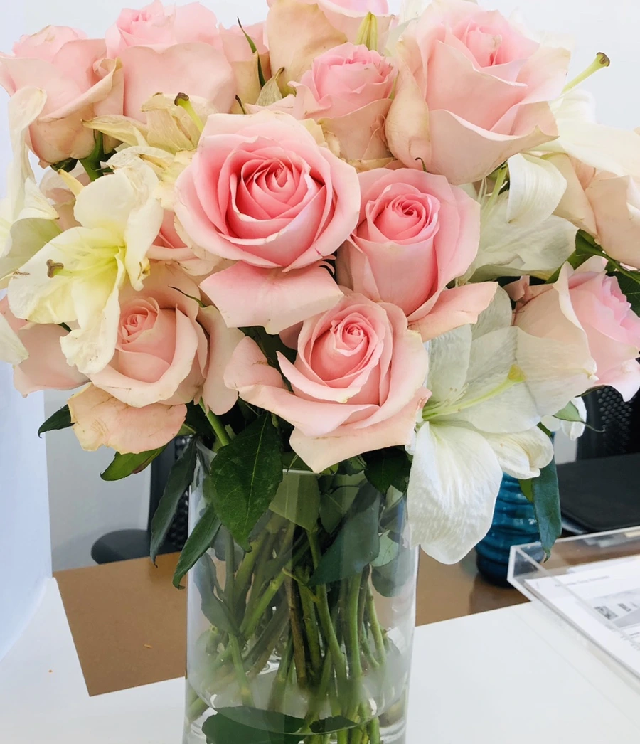 IMG_9457.jpg?type=w966