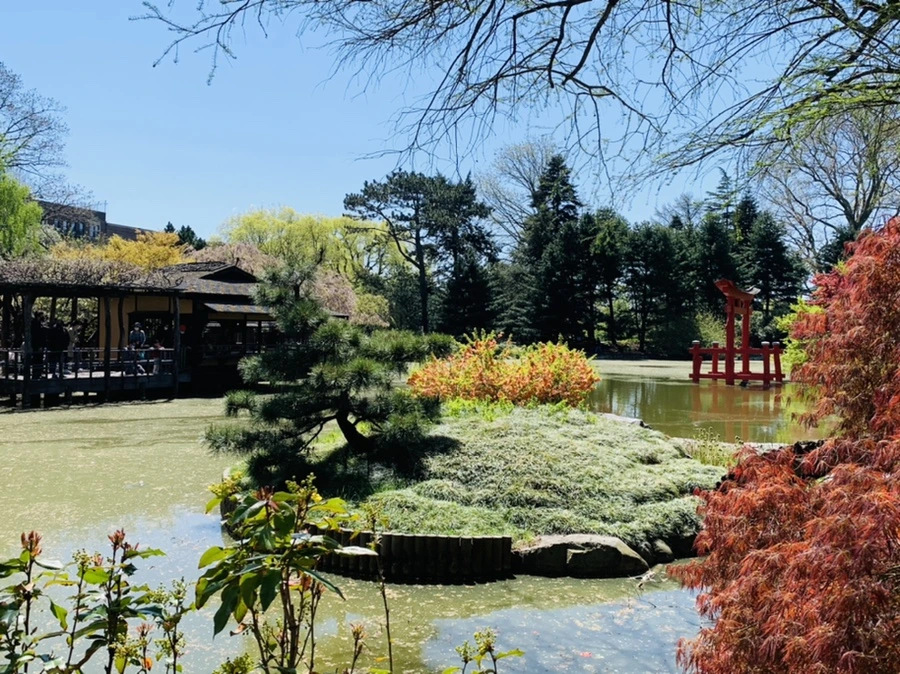 IMG_4733.jpg?type=w966