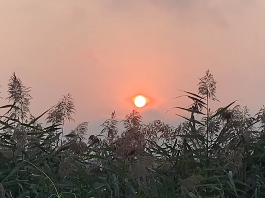 IMG_1135.jpg?type=w966