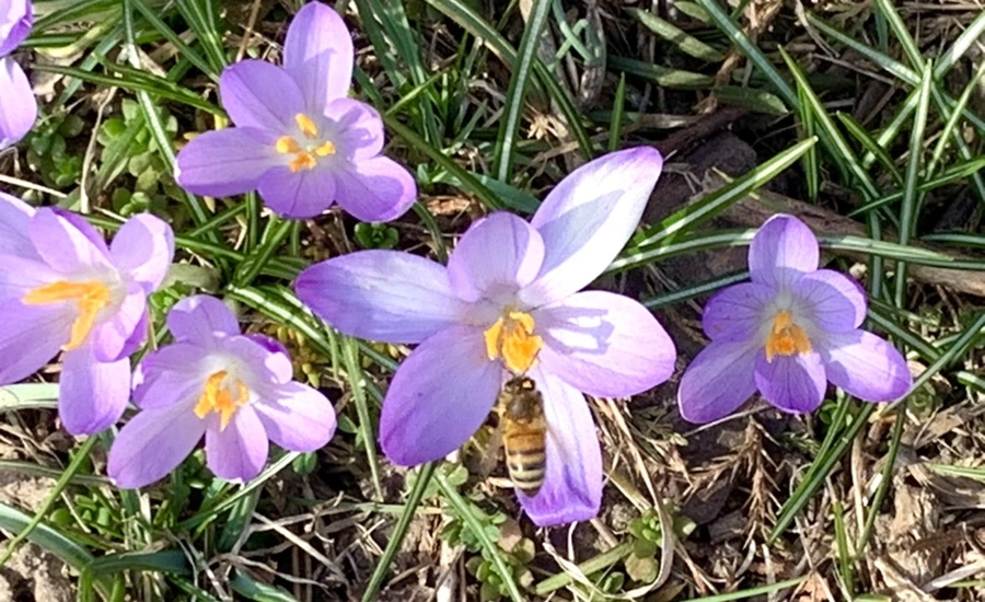 IMG_0229.jpg?type=w966