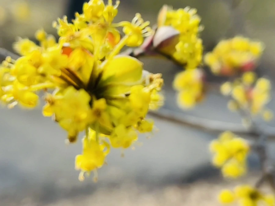 IMG_5937.jpg?type=w966