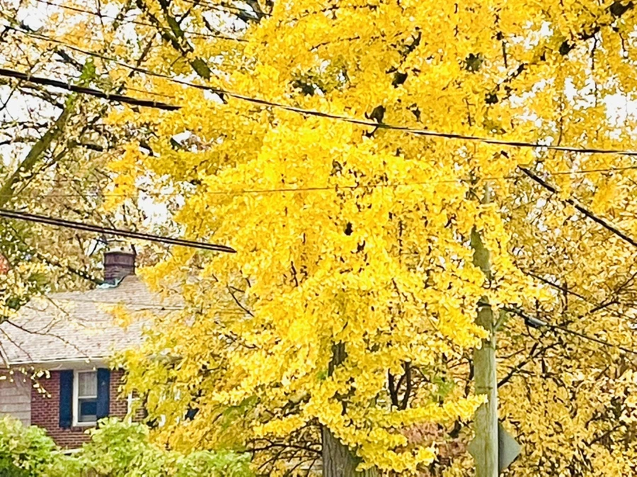 IMG_4880.jpg?type=w966