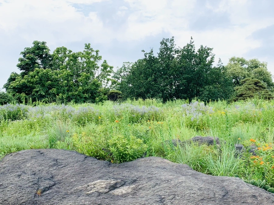 IMG_2658.jpg?type=w966