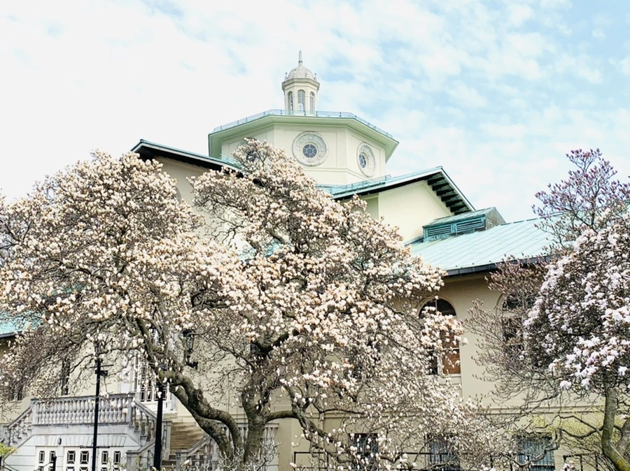 IMG_7184.jpg?type=w966