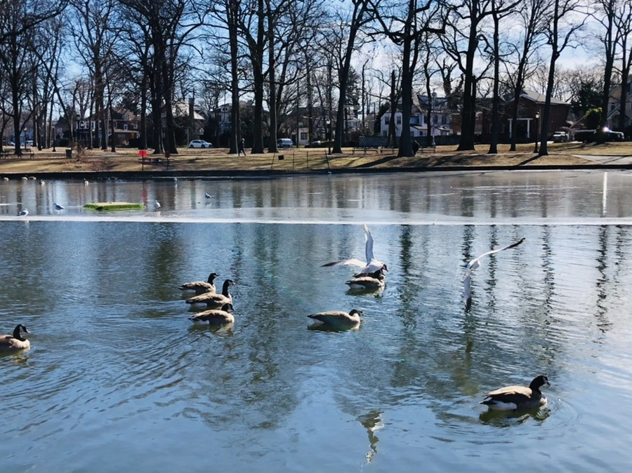 IMG_5443.jpg?type=w966