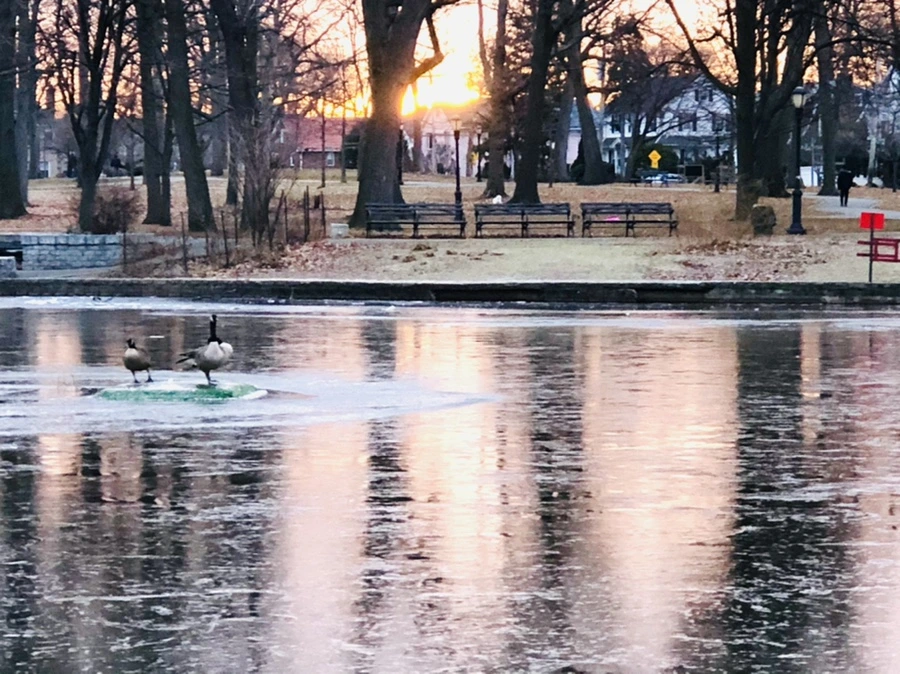 IMG_1916.jpg?type=w966