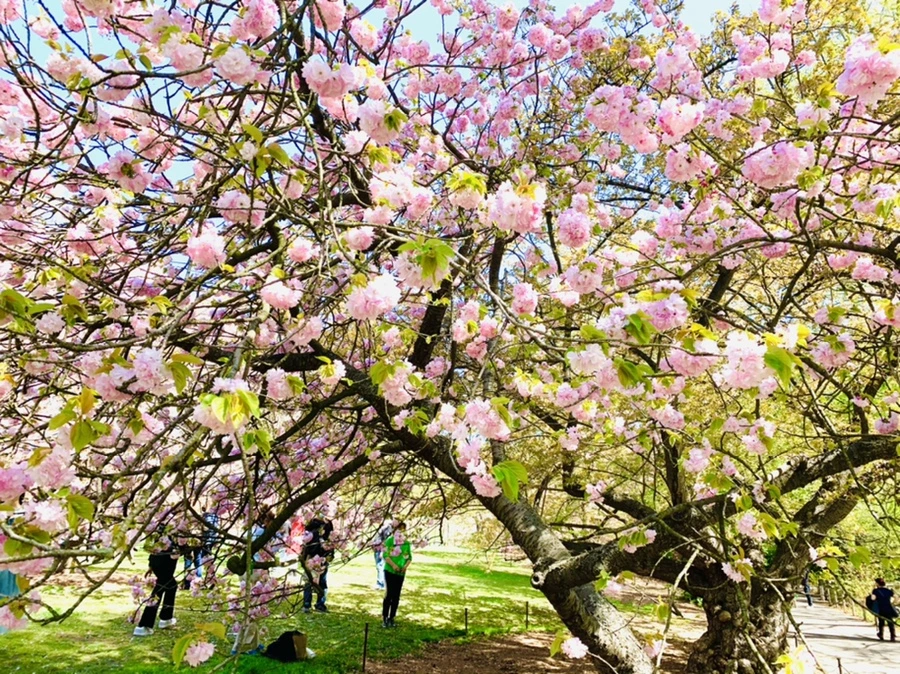 IMG_4672.jpg?type=w966