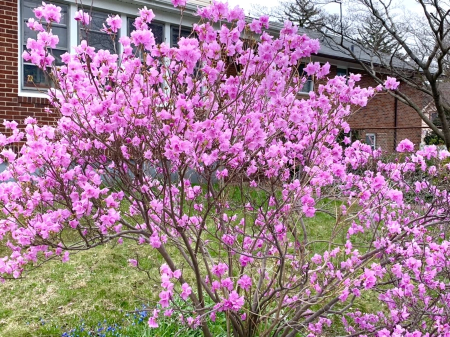 IMG_6773.jpg?type=w966