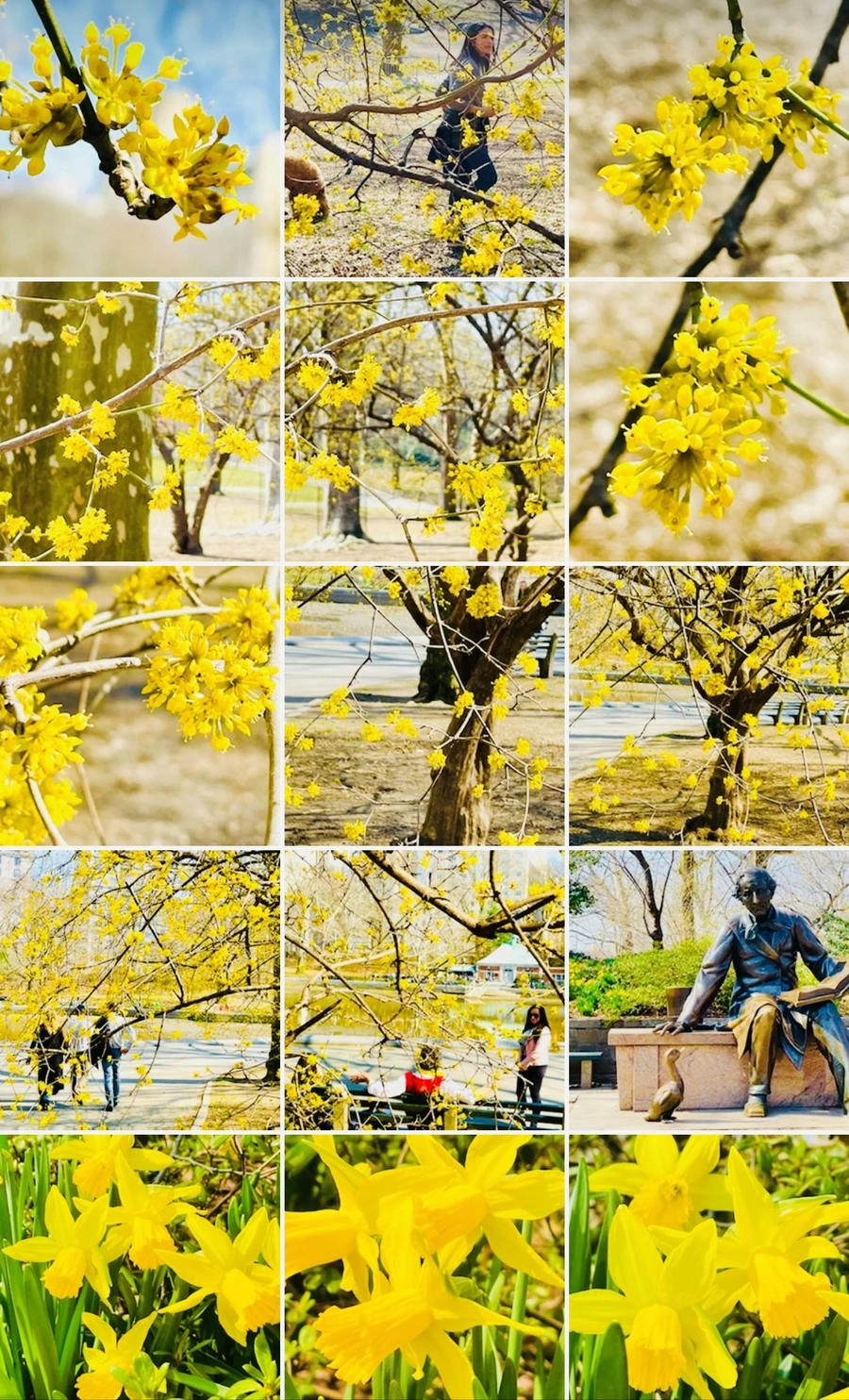 IMG_5661.jpg?type=w966