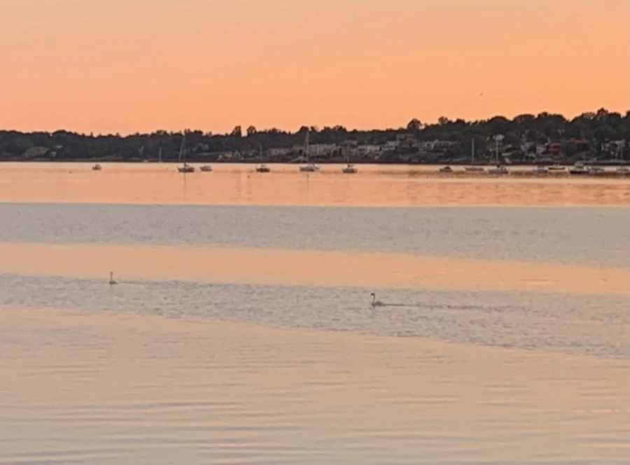 IMG_7504.jpg?type=w966