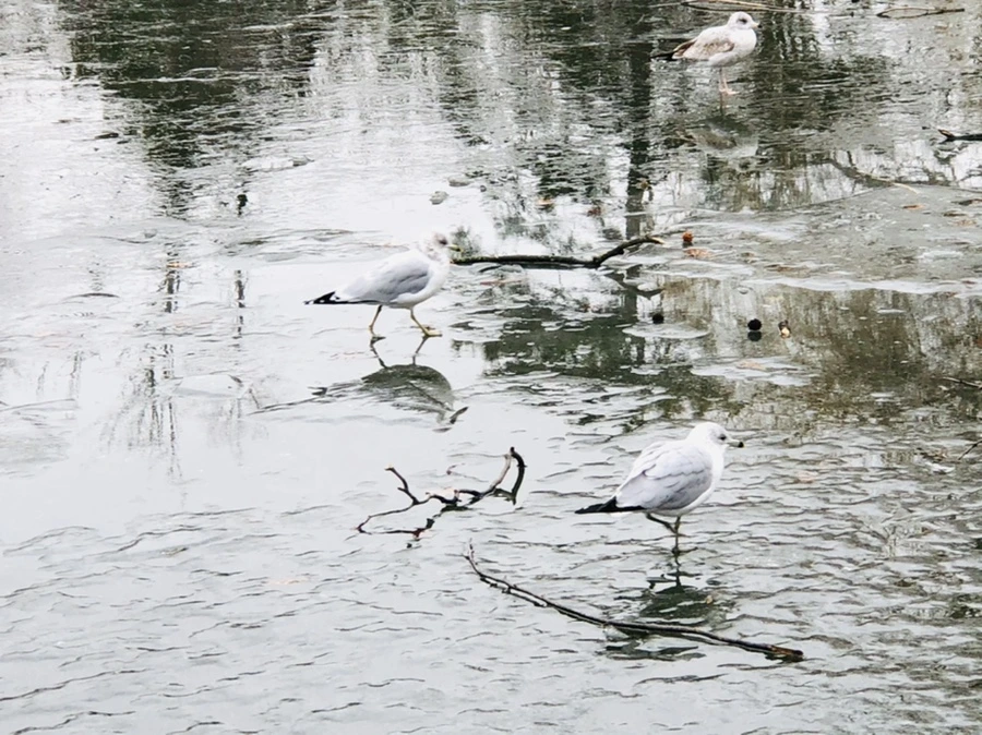 IMG_3146.jpg?type=w966