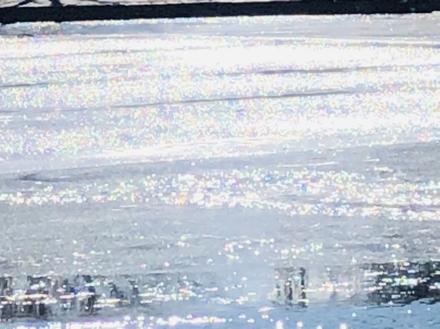 IMG_7188.jpg?type=w966