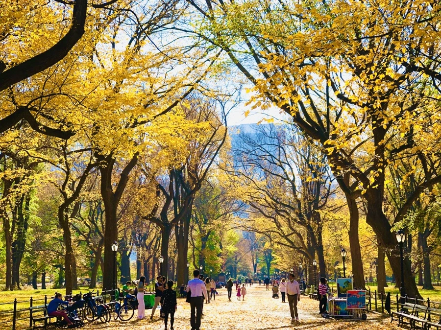 IMG_4300.jpg?type=w966